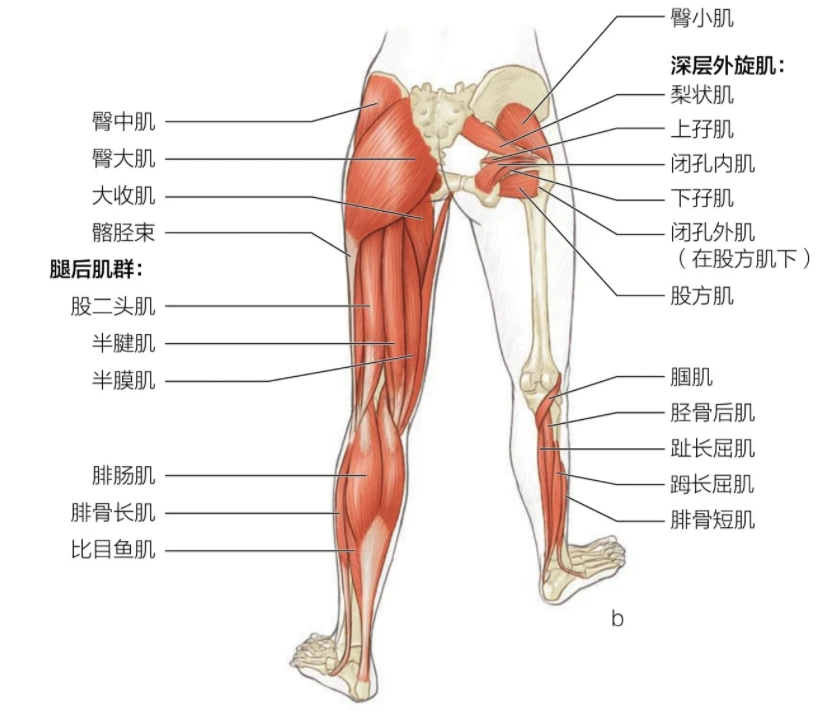制定篮球交流计划以促进个人技能发展的方法_0